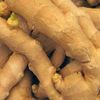 Ginger