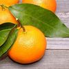 Tangerine