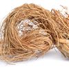 Vetiver
